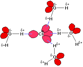 hydrophobic amino acids form hydrogen bonds with water