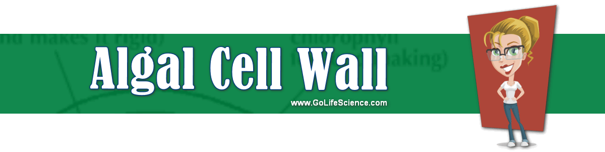 Algal cell wall