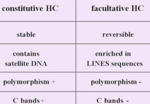 Types of Heterochromatin 