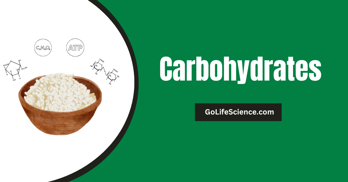 Carbohydrates : Classification and its Basics Carbohydrates
