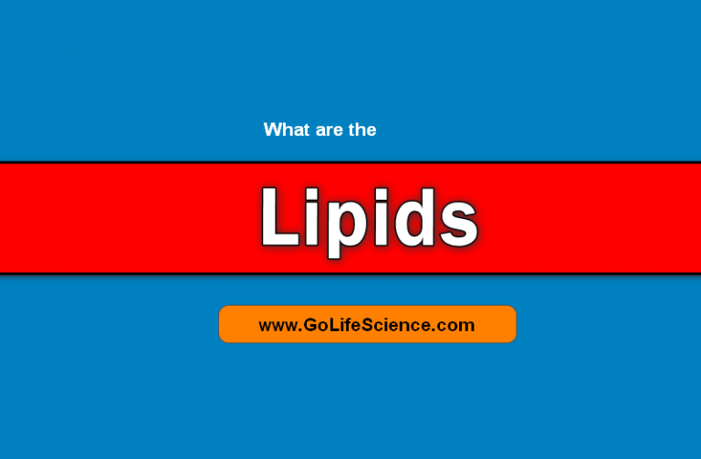 Lipids: What are Lipids, Phospholipids and Cholesterol?