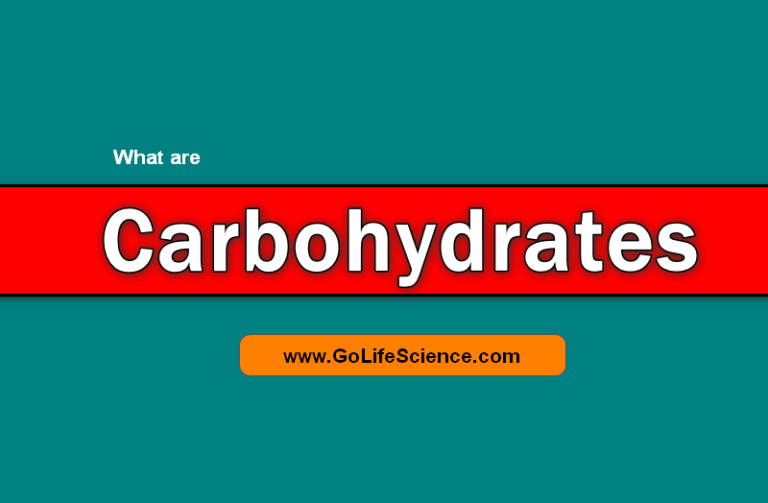 Carbohydrates : Classification and its Basics