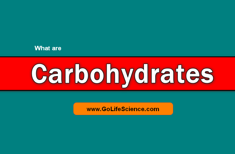what are carbohydrates? How to Classify?