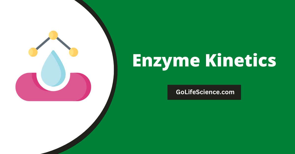 Enzyme Kinetics: Kinetic Study of Enzymatic Reactions Enzyme Kinetics