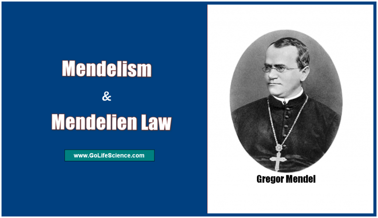 What is Mendelian Law and Mendelism?