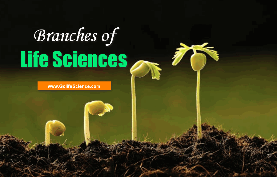 branches of life sciences