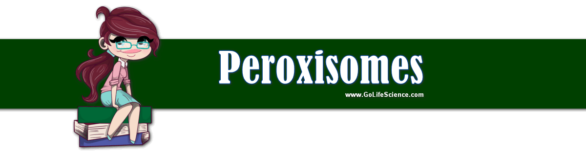 Peroxisomes Special Microbodies In Both Plants And Animals