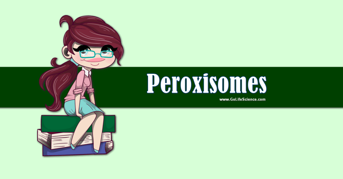 peroxisomes - the cell organells