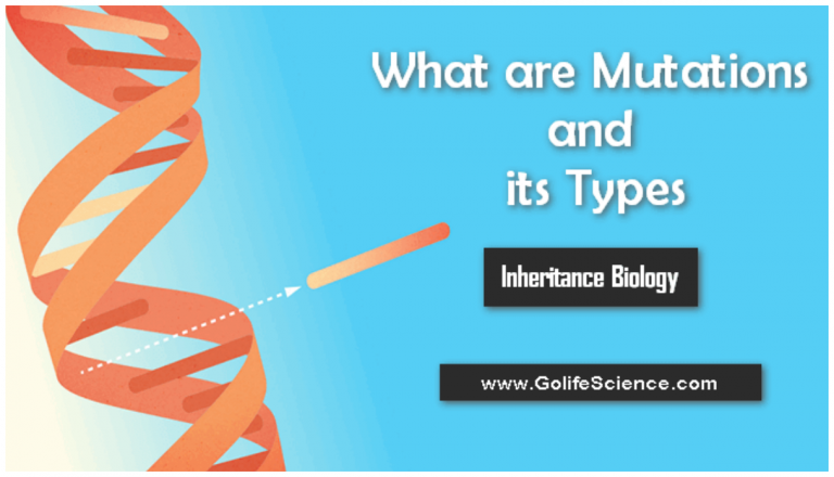 Mutations: What is Mutations and its types