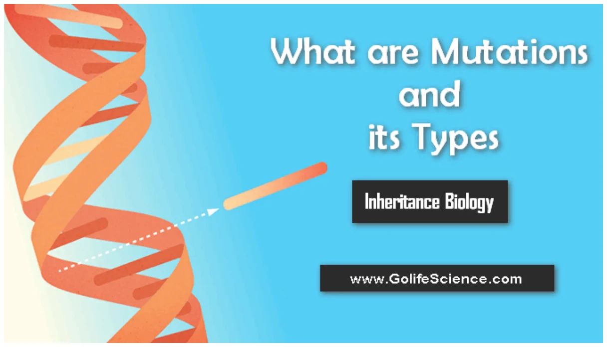 what are mutations?