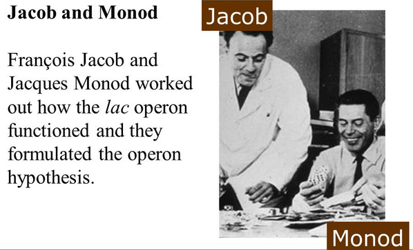 JAcob and monad experiment