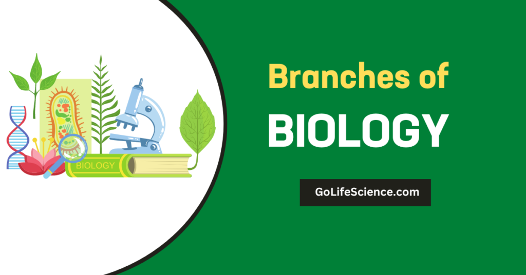 What are the Branches of Zoology?