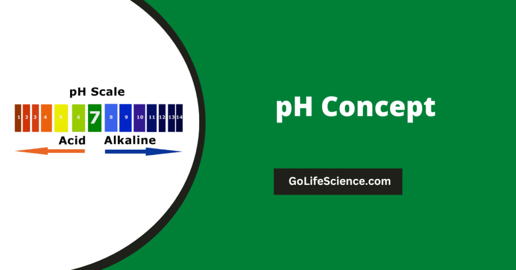 Biological Significance of pH in DNA, Proteins and Enzymes (Basics, History, and Importance of pH Concept) ph concept