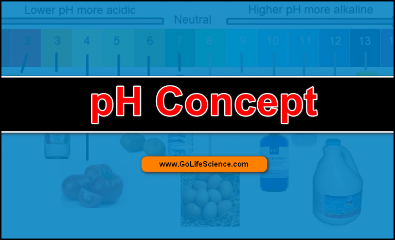 What are the Basics of pH concept and its Importance?