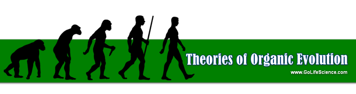 theories of organic evolution