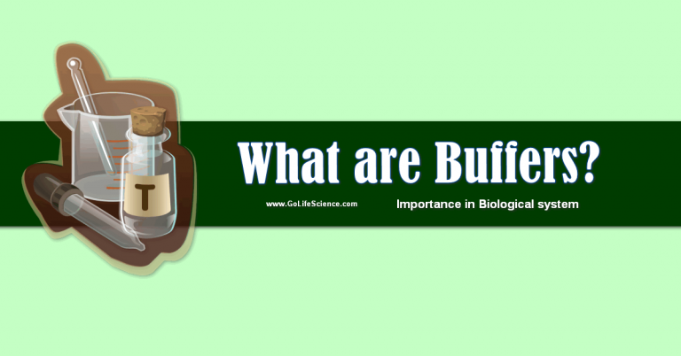What are Buffers and What is the Importance in Biological system?