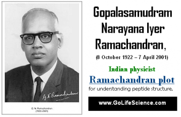 Ramachandran Plot : Basic of Polypeptide chain conformation