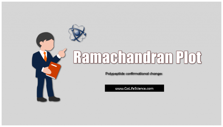 Ramachandran Plot : Polypeptide chain conformation