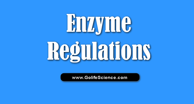 Enzyme regulations