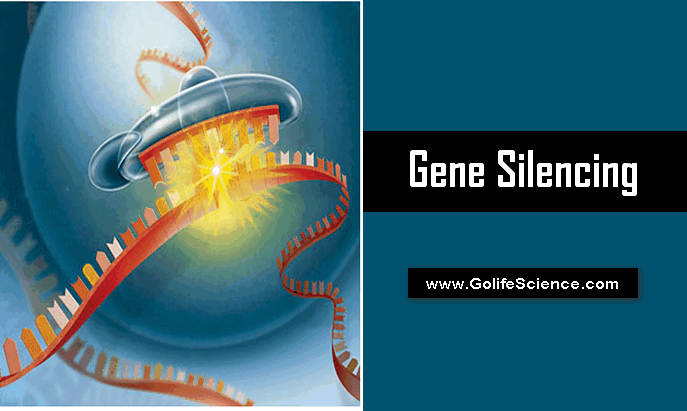 Gene silencing