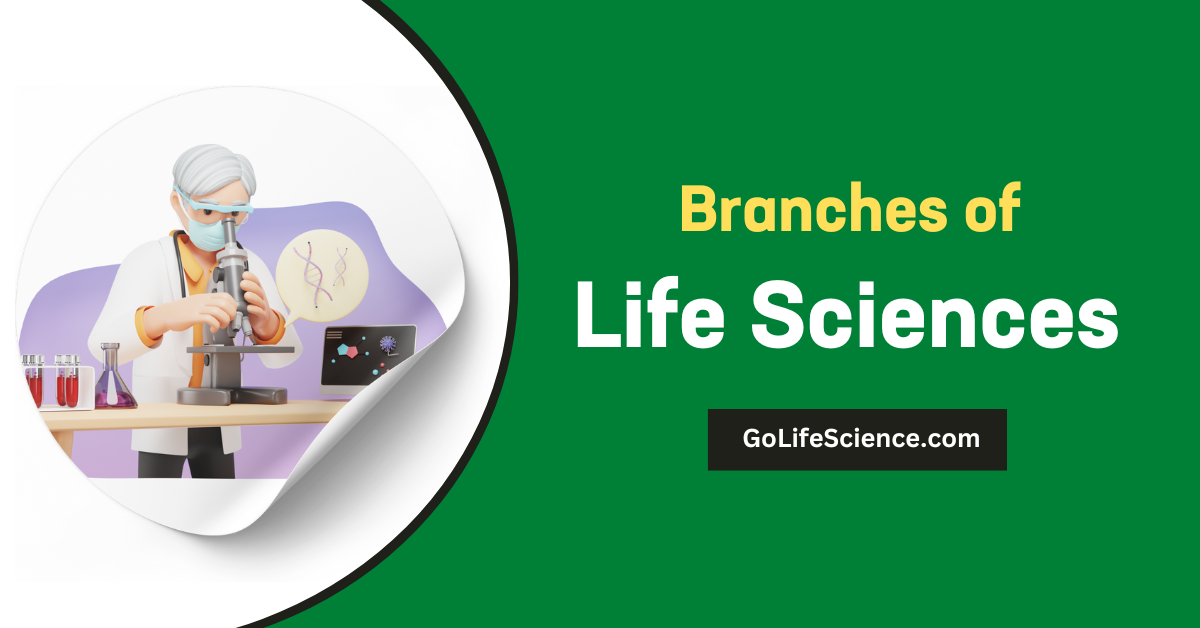 What are the Branches of Life Sciences and their meanings? Branches of Life Sciences