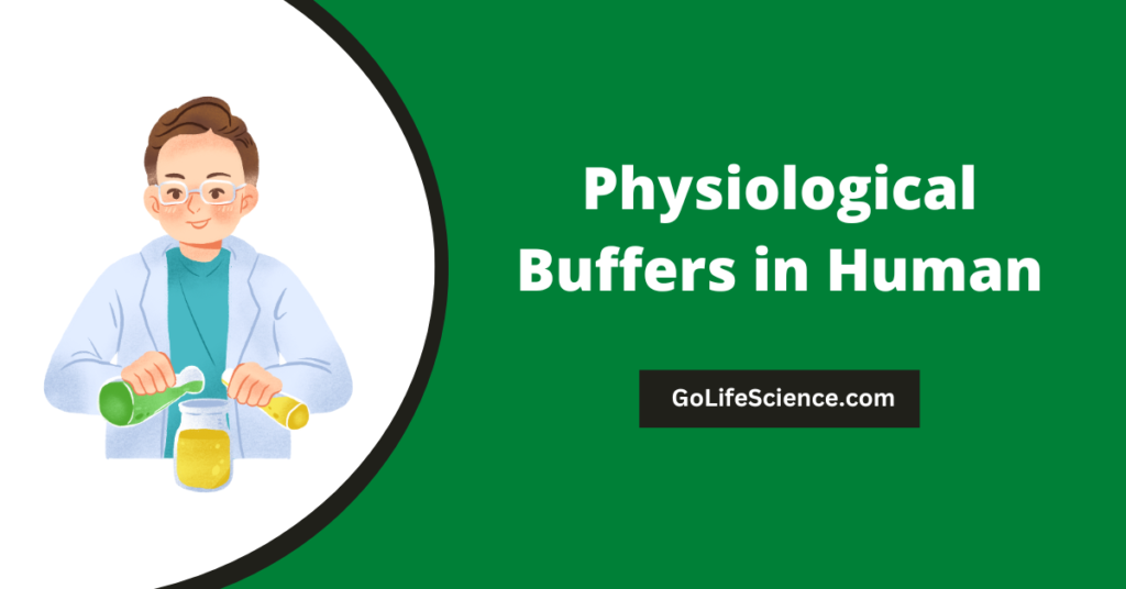 Physiological Buffers in humans