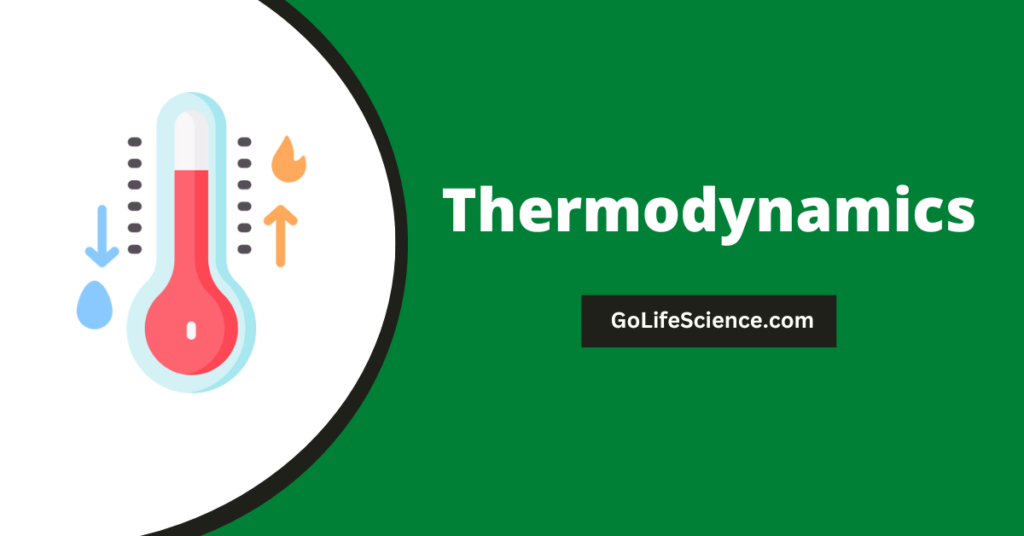 Thermodynamics in Life Sciences: Energy, Metabolism & More Thermodynamics