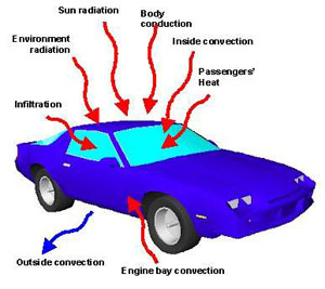 Thermodynamics in Life Sciences: Energy, Metabolism & More The second law of Thermodynamics