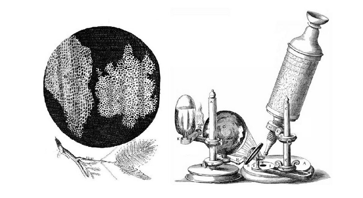 10 Top biological discoveries from 19th century in 2023