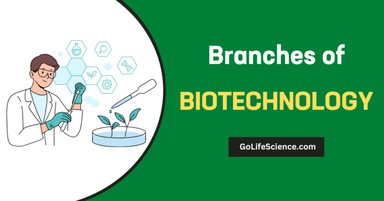 branches-of-life-sciences-explore-the-biological-study