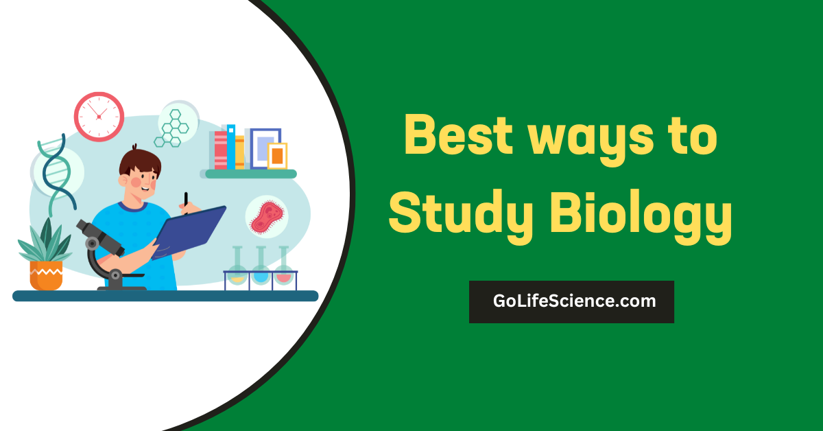 What are the best ways to study biology? What are the best ways to study biology
