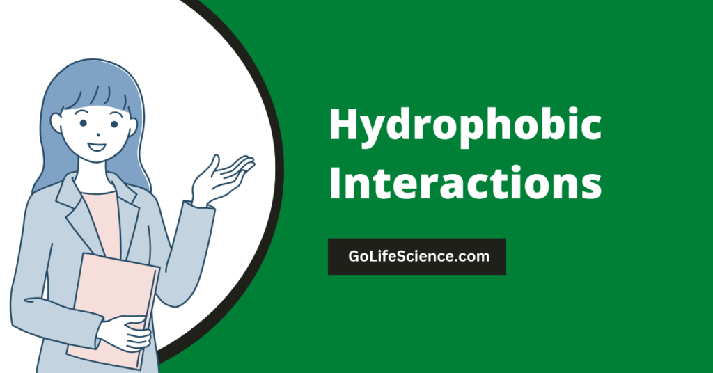 Hydrophobic Interactions: A Comprehensive Guide for Life Science Enthusiasts