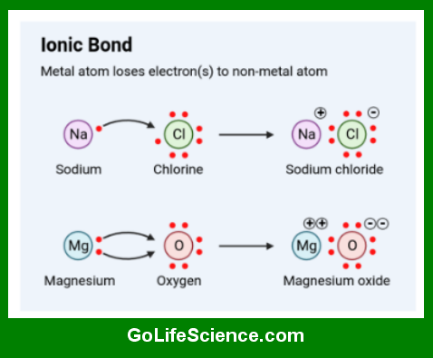 Chemical Bonding: The Foundation of Life Sciences Ionic bond
