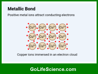 Chemical Bonding: The Foundation of Life Sciences metallic bond
